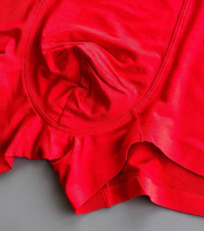 Dior Red Small White Horse Trio Boxer Briefs, image 6