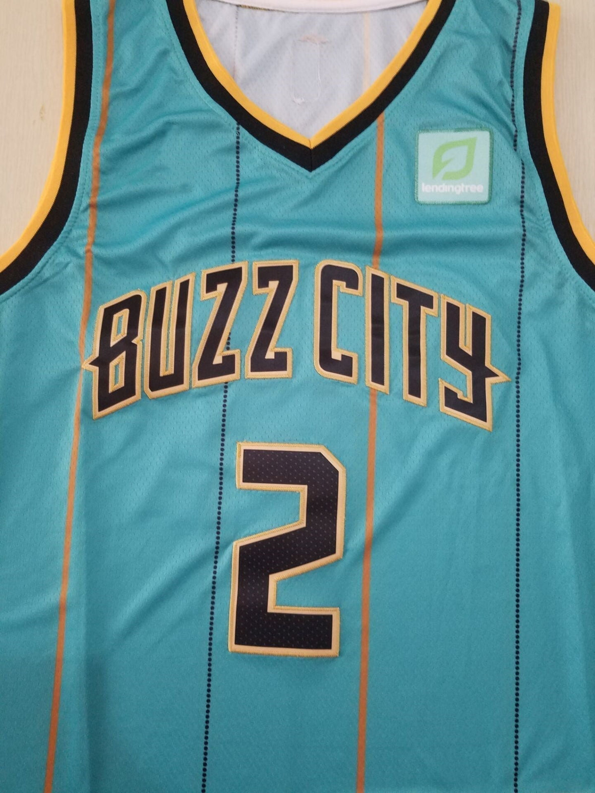 Men's Charlotte Hornets LaMelo Ball Green 2020-21 swingman Jerseys