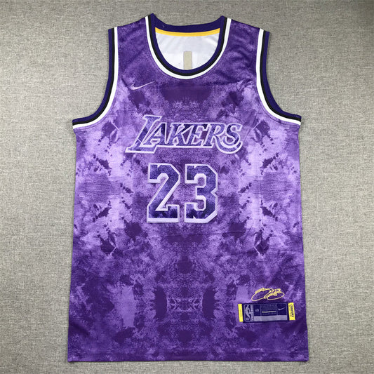 Men's Los Angeles Lakers LeBron James #23 Purple Select Series Swingman Jerseys