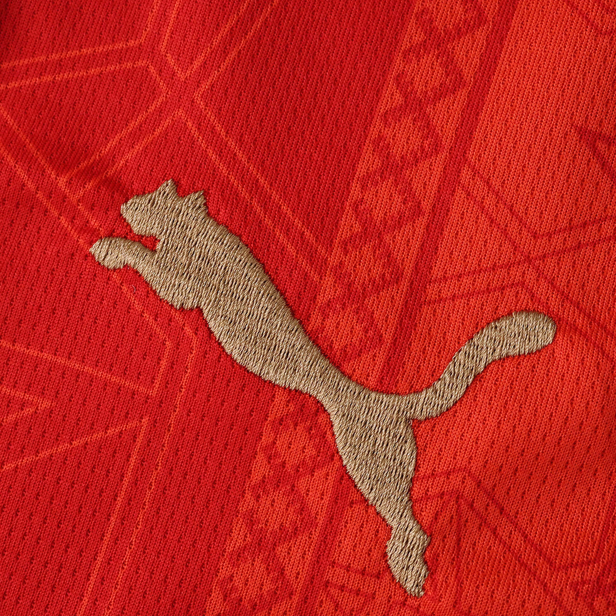 Morocco Home Jersey 2026 FIFA World Cup – Puma Red & Green Atlas Lions Kit | Fan Version