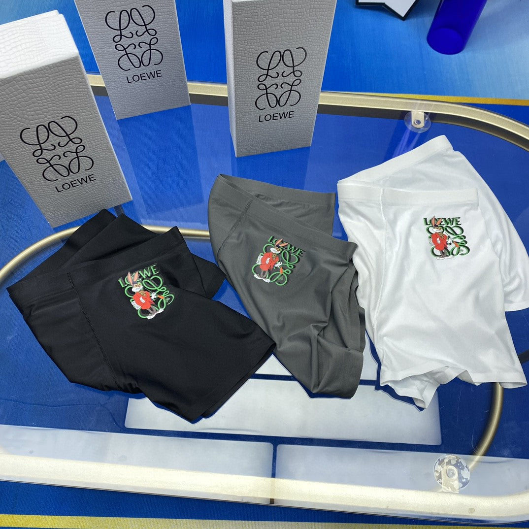 LOEWE Colour Emblem Boxer Briefs, gallery image 3