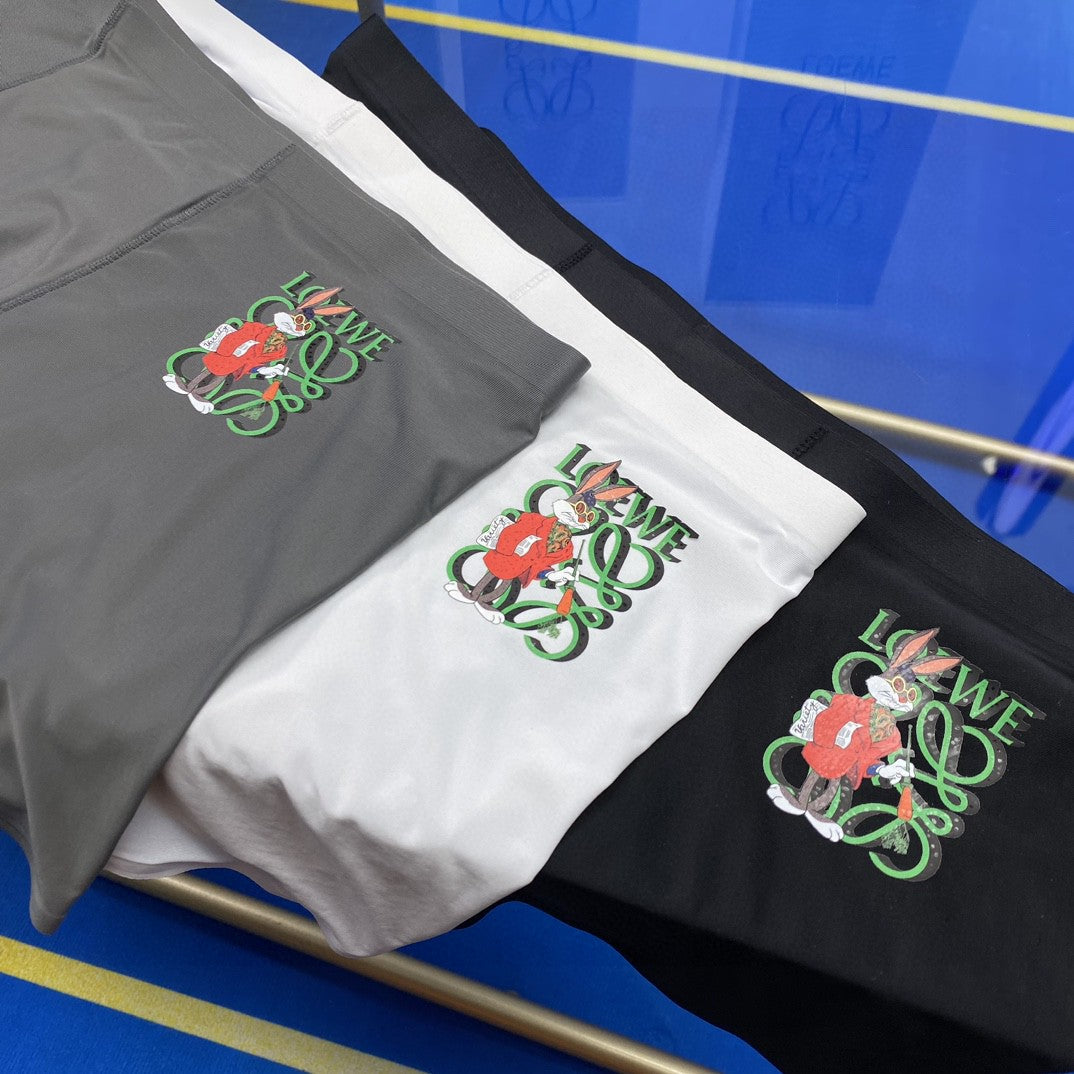 LOEWE Colour Emblem Boxer Briefs, gallery image 2