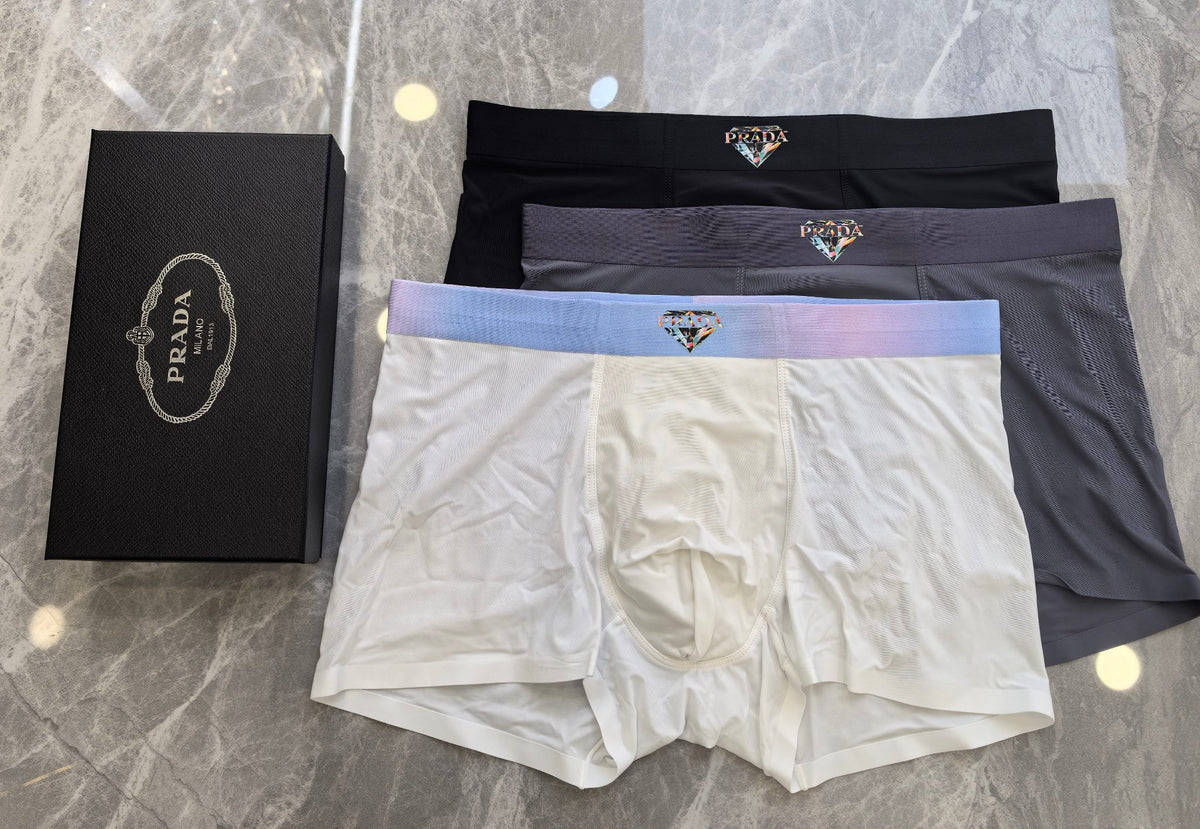 Prada Dark Grey Small Gold Triangle Waist Boxer Briefs, image 4