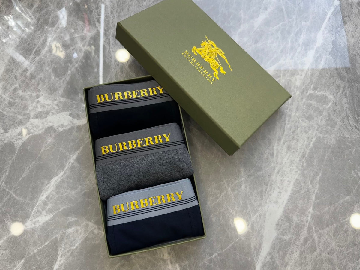 Burberry Boxed Dark Neon Letter Waist Boxer Briefs, image 3