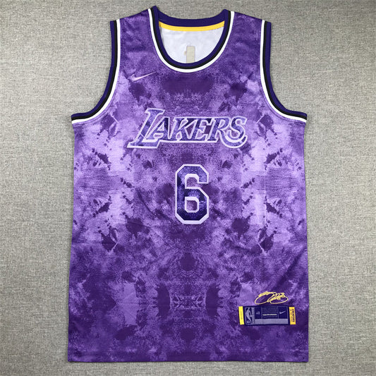 Men's Los Angeles Lakers LeBron James #6 Purple Select Series Swingman Jerseys