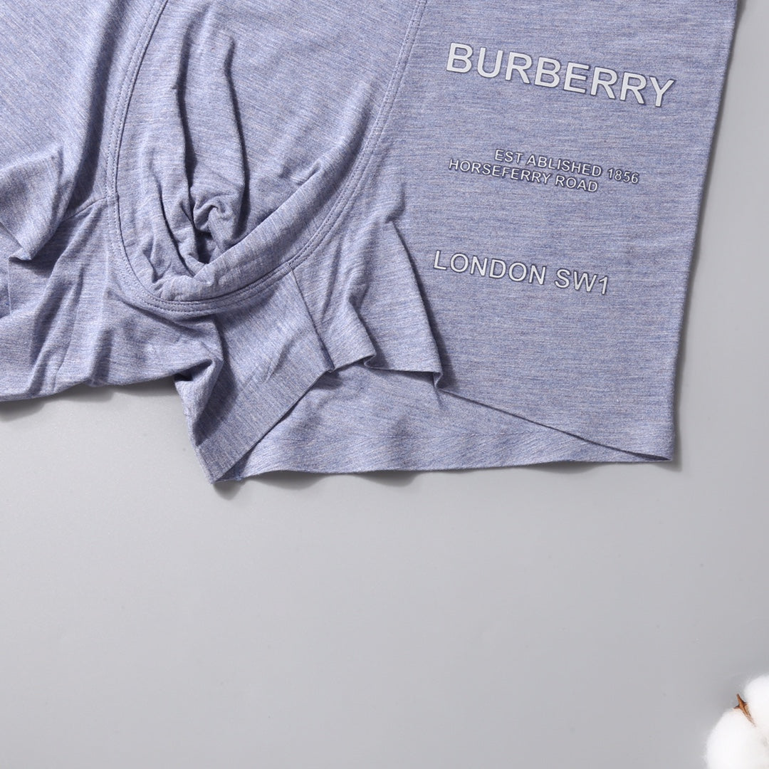 Burberry Grey Lilac Green Small Side Wordmarks Boxer Briefs, image 9