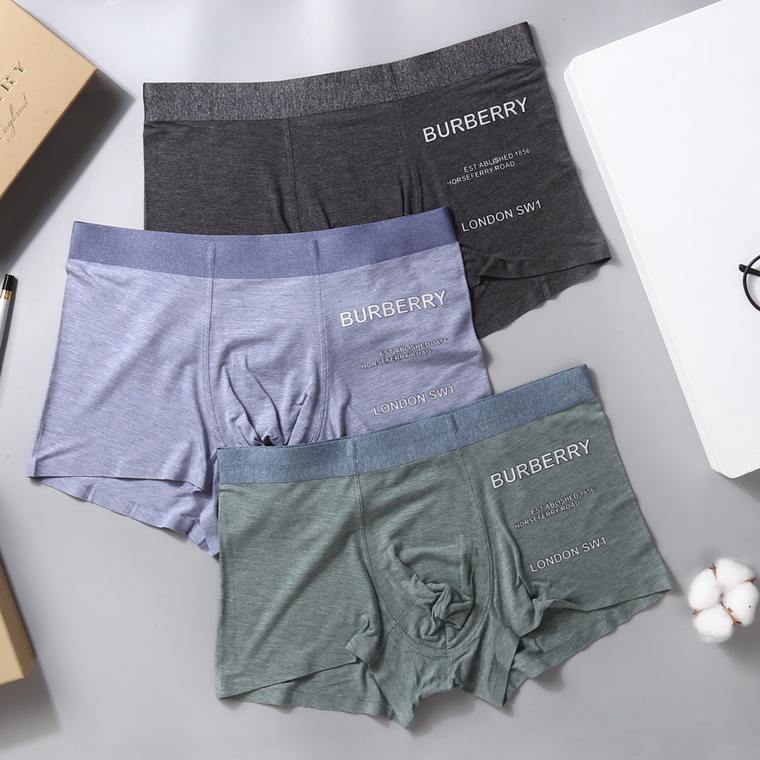 Burberry Grey Lilac Green Small Side Wordmarks Boxer Briefs, image 4