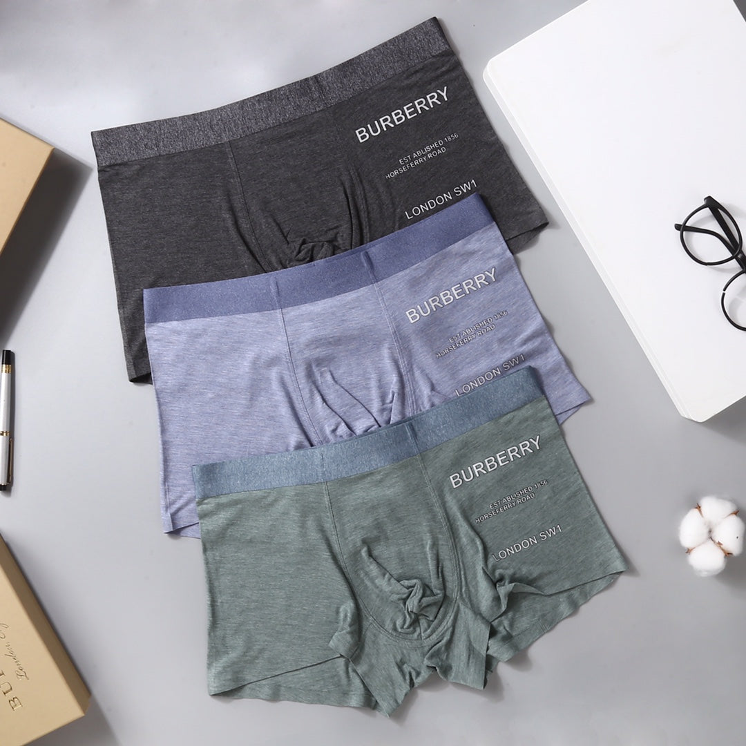 Burberry Grey Lilac Green Small Side Wordmarks Boxer Briefs, image 6