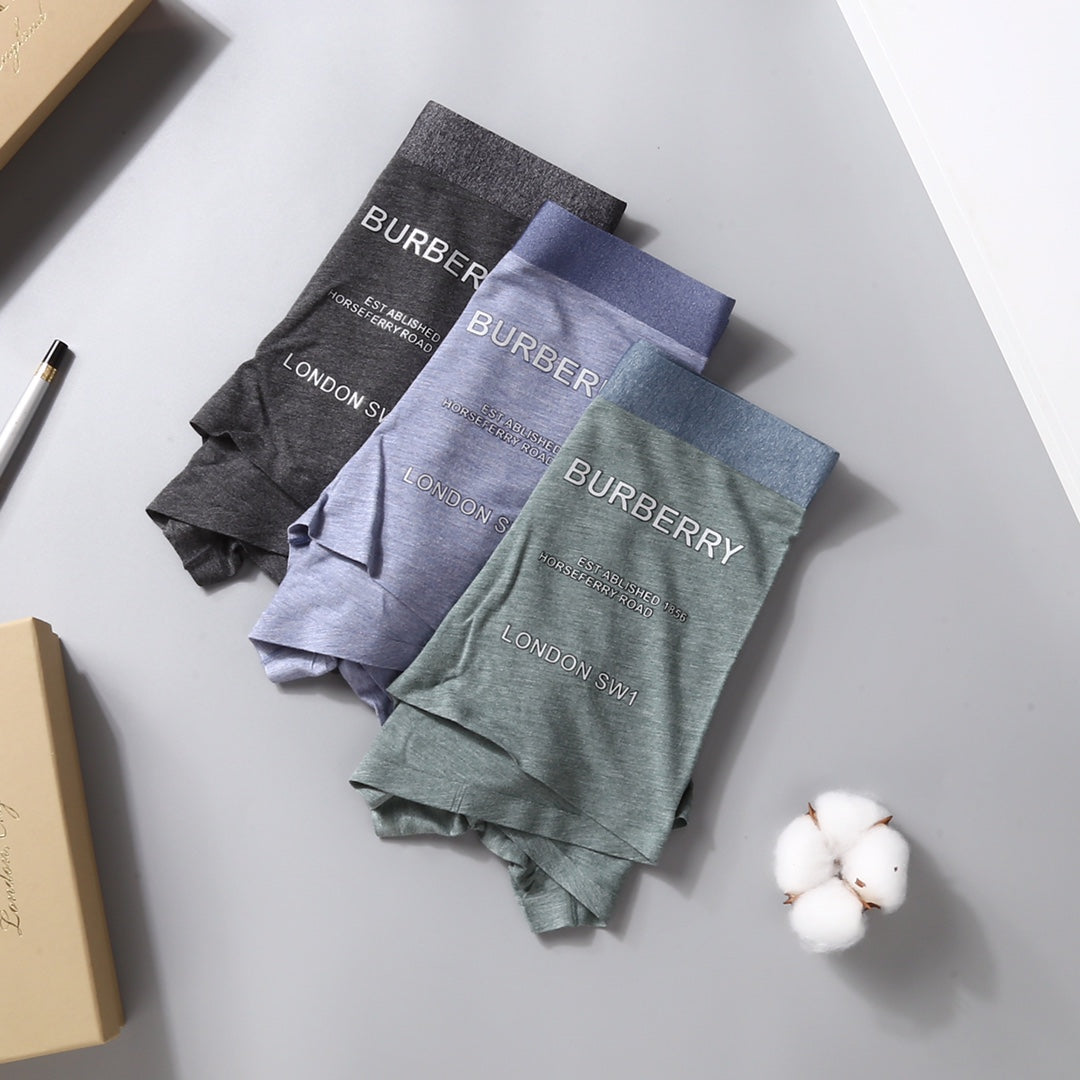 Burberry Grey Lilac Green Small Side Wordmarks Boxer Briefs, image 1