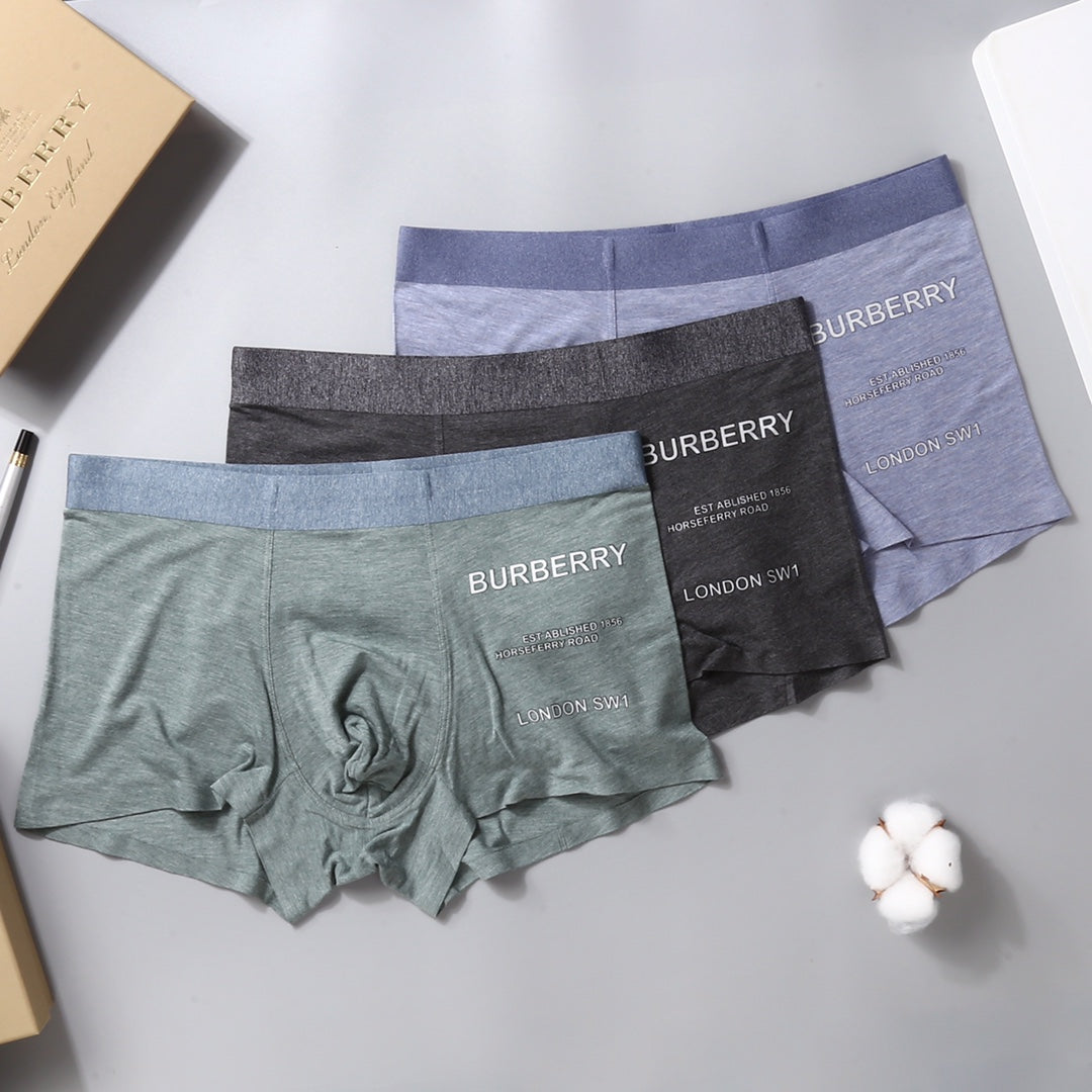 Burberry Grey Lilac Green Small Side Wordmarks Boxer Briefs, image 7
