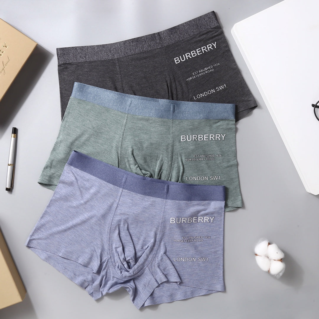Burberry Grey Lilac Green Small Side Wordmarks Boxer Briefs, image 5