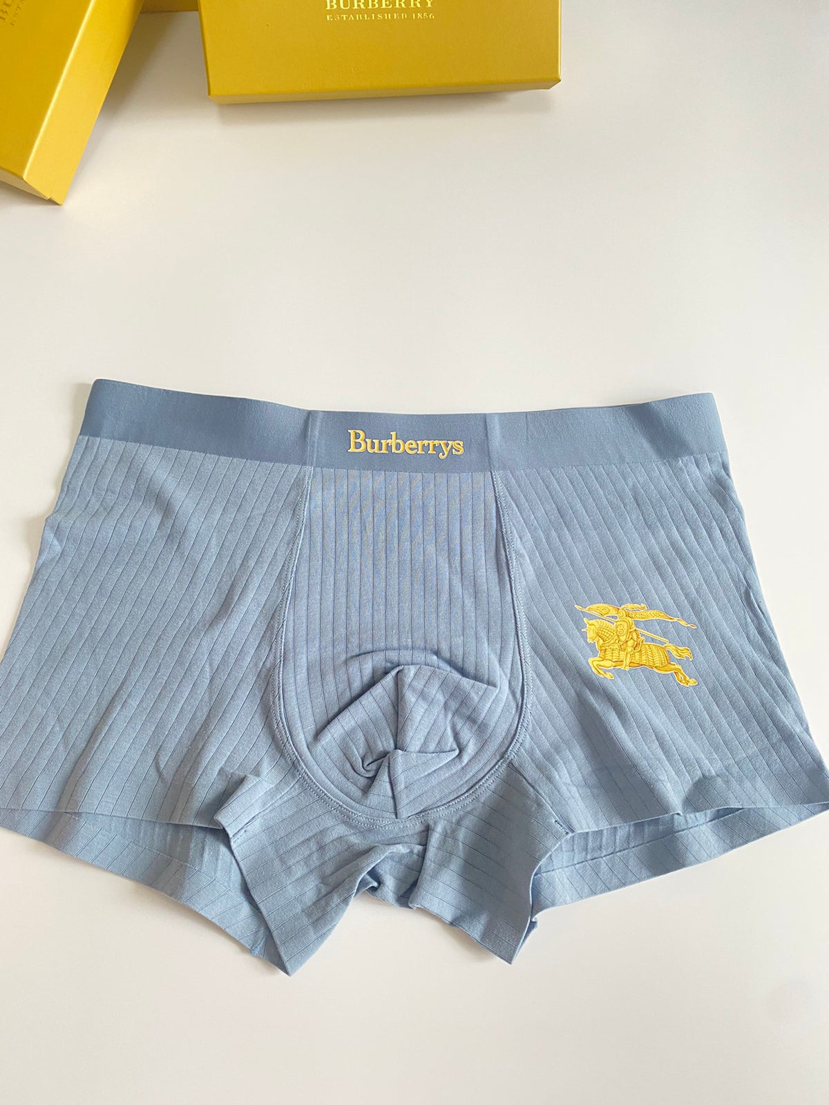 Burberry Blue Grey Yellow Small Horse Boxer Briefs, image 7