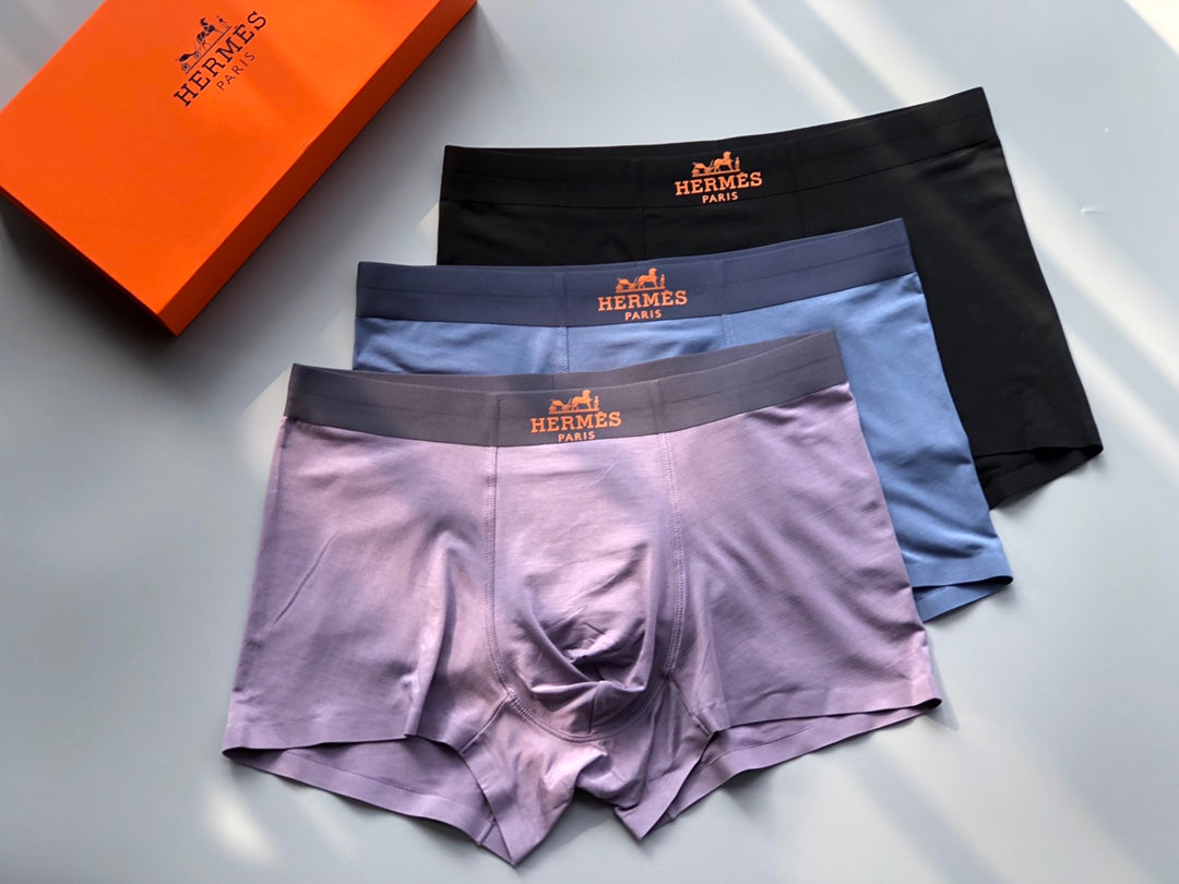 Hermès Boxed Grey Dark Landscape Print Boxer Briefs, image 4